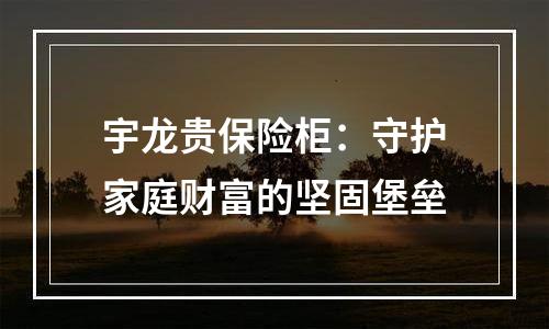 宇龙贵保险柜：守护家庭财富的坚固堡垒