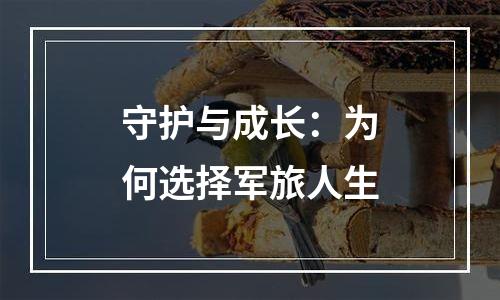 守护与成长：为何选择军旅人生