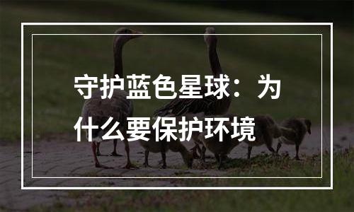 守护蓝色星球：为什么要保护环境
