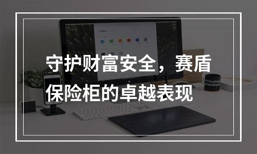 守护财富安全，赛盾保险柜的卓越表现