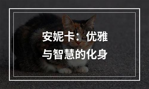 安妮卡：优雅与智慧的化身