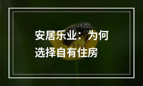 安居乐业：为何选择自有住房