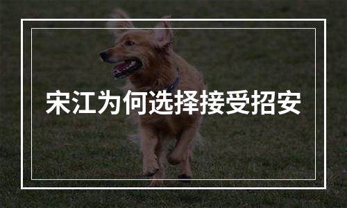 宋江为何选择接受招安