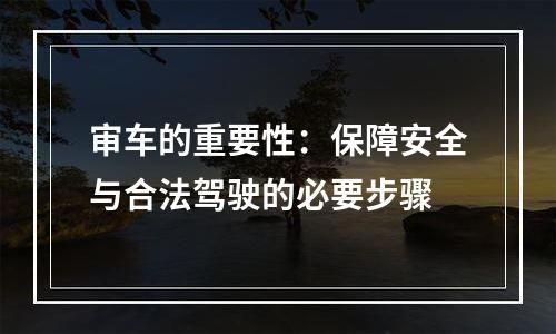 审车的重要性：保障安全与合法驾驶的必要步骤
