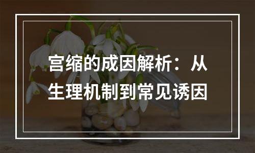 宫缩的成因解析：从生理机制到常见诱因