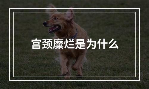 宫颈糜烂是为什么