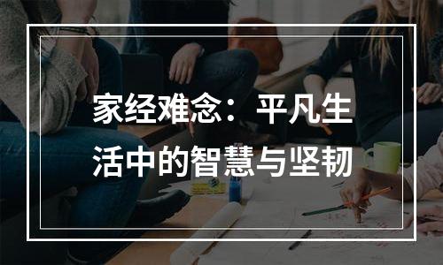 家经难念：平凡生活中的智慧与坚韧