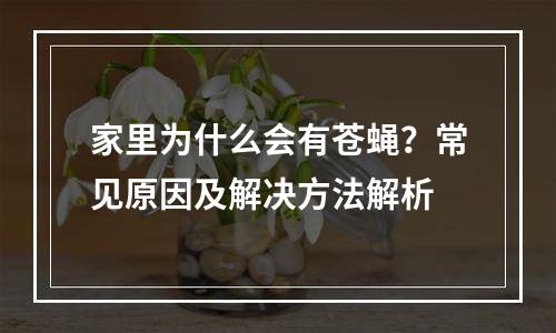 家里为什么会有苍蝇？常见原因及解决方法解析