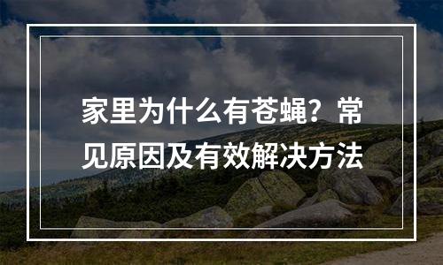 家里为什么有苍蝇？常见原因及有效解决方法