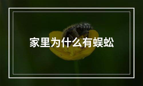 家里为什么有蜈蚣