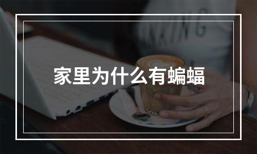 家里为什么有蝙蝠