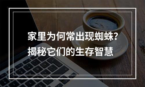 家里为何常出现蜘蛛？揭秘它们的生存智慧