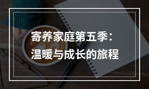 寄养家庭第五季：温暖与成长的旅程
