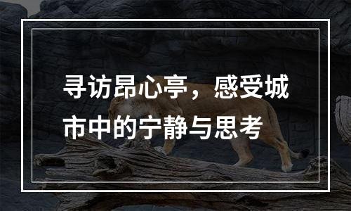 寻访昂心亭，感受城市中的宁静与思考