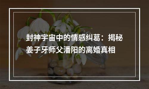 封神宇宙中的情感纠葛：揭秘姜子牙师父潘阳的离婚真相