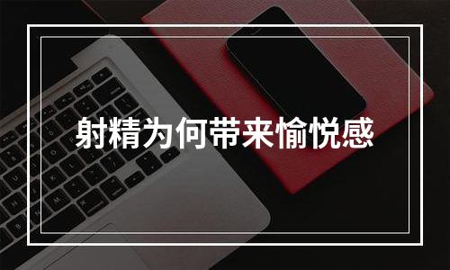 射精为何带来愉悦感