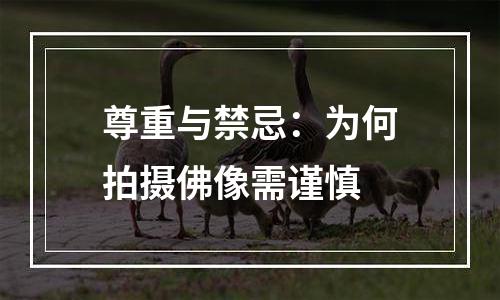 尊重与禁忌：为何拍摄佛像需谨慎