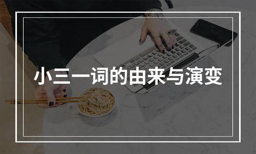 小三一词的由来与演变