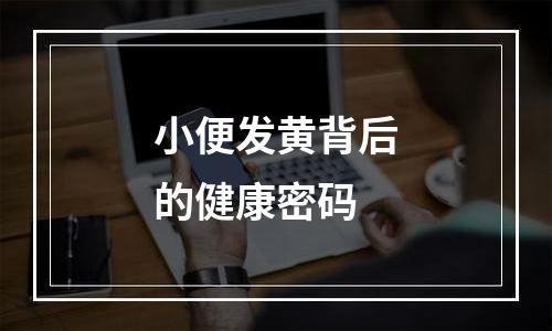 小便发黄背后的健康密码