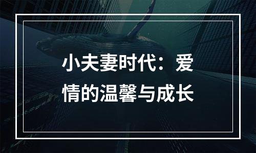 小夫妻时代：爱情的温馨与成长