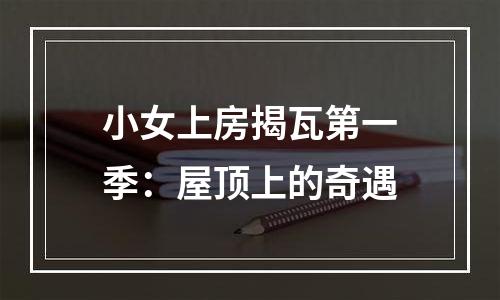 小女上房揭瓦第一季：屋顶上的奇遇