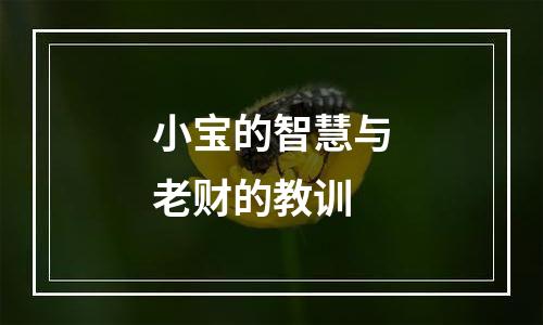 小宝的智慧与老财的教训