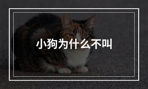 小狗为什么不叫