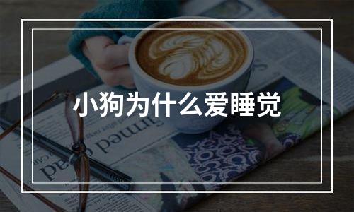 小狗为什么爱睡觉