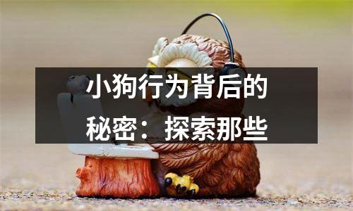 小狗行为背后的秘密：探索那些