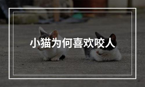 小猫为何喜欢咬人