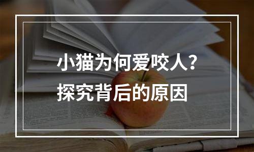 小猫为何爱咬人？探究背后的原因