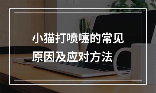 小猫打喷嚏的常见原因及应对方法