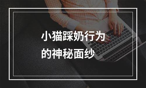 小猫踩奶行为的神秘面纱