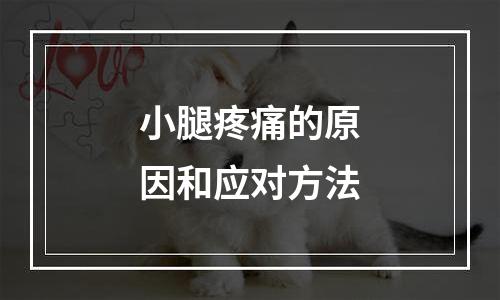 小腿疼痛的原因和应对方法