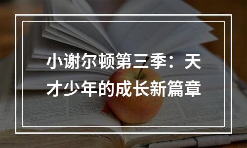 小谢尔顿第三季：天才少年的成长新篇章