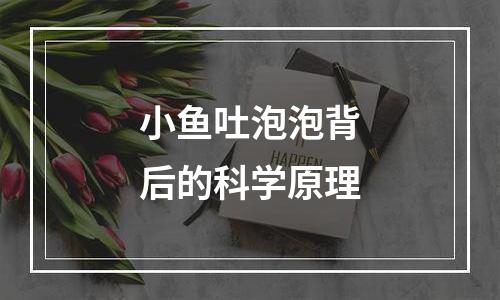 小鱼吐泡泡背后的科学原理