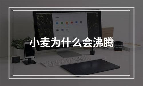 小麦为什么会沸腾