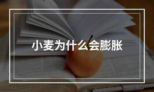 小麦为什么会膨胀