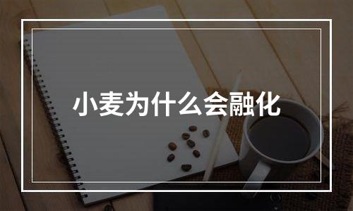 小麦为什么会融化