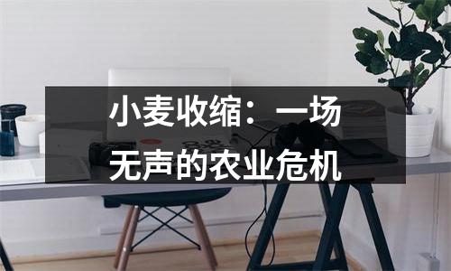 小麦收缩：一场无声的农业危机