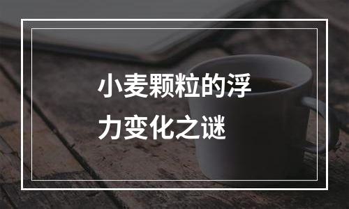 小麦颗粒的浮力变化之谜