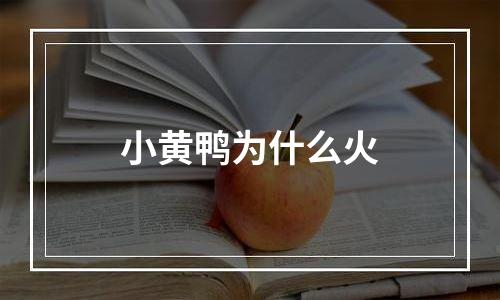 小黄鸭为什么火