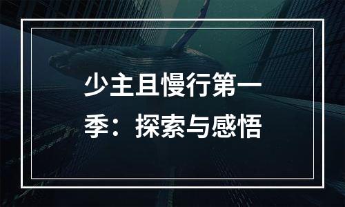 少主且慢行第一季：探索与感悟