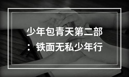 少年包青天第二部：铁面无私少年行