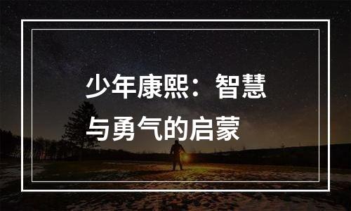 少年康熙：智慧与勇气的启蒙