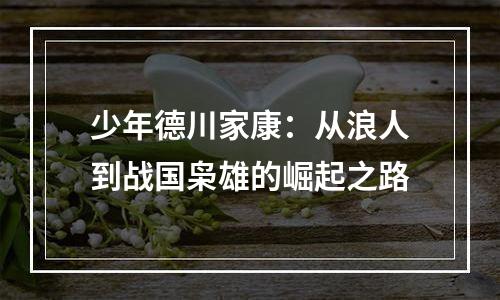 少年德川家康：从浪人到战国枭雄的崛起之路