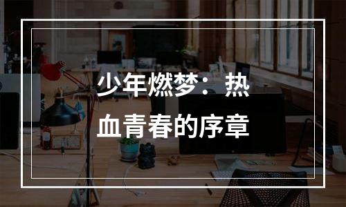 少年燃梦：热血青春的序章