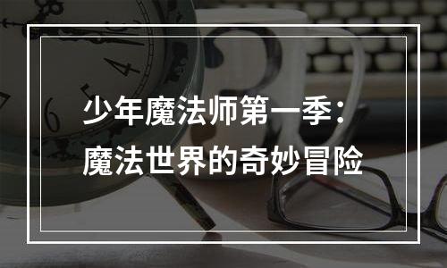少年魔法师第一季：魔法世界的奇妙冒险