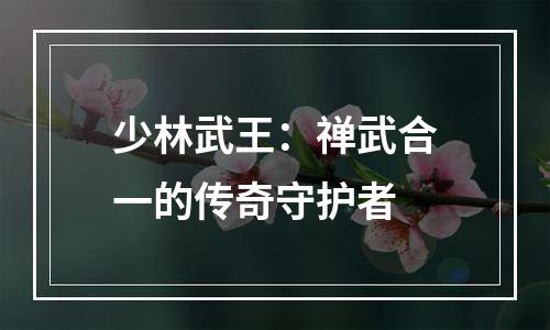 少林武王：禅武合一的传奇守护者