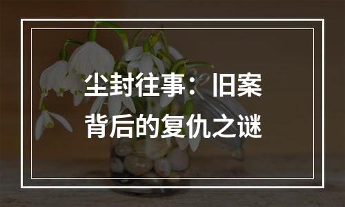 尘封往事：旧案背后的复仇之谜